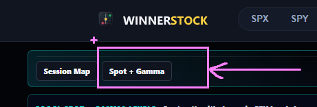 Spot and Gamma submenu in WINNERSTOCK navigation
